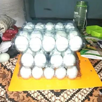 Telur Asin Bebek Matang Masir Fresh Dadakan + Telur Bebek kemasan mika bublle wrap + isi 6, 10, 15 1