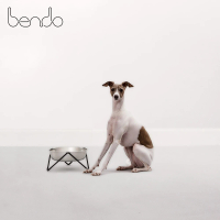 【Bendo】好潮狗碗 毛小孩 寵物碗 寵物碗架 霧面黑架+不鏽鋼碗 22cm