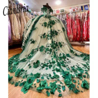 Green Sweet 16 Quinceanera Dress Sequined Sparkly Lace Pageant Party Dress Ball Gown Mexican Girl Birthday Gown