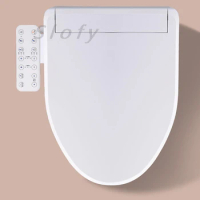 Smart Toilet Bowl Toilet Cover Remote Control Electric Smart Bidet Toilet Seat Dryer Heated Warm Water Nozzle Elongated