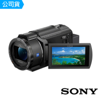 SONY 索尼 FDR-AX43A 4K 數位攝影機(公司貨)