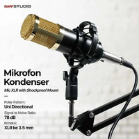 ORIGINAL TaffSTUDIO BM-800 Mikrofon Kondenser XLR Condenser Microphone Set Shockproof Mount Mic Stud