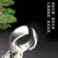 Ball pliers, tree nodules, tree nodes, pruning pliers, professional horticultural bonsai production, shape, ball scissors