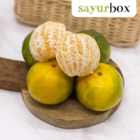 Jeruk Medan 1 kg 1 kg Sayurbox