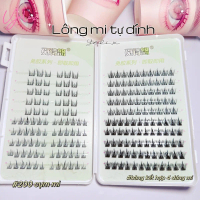 ( DEAL MỞ BÁN ) BẢNG 200 CỤM MI TỰ DÍNH kết hợp 4 dáng mi phù hợp mọi layout makeup . Lông mi mềm, k