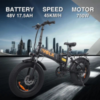 2023 New Mountain E-bike Powerful 750W motor Snow Electric Bicycle 48V 17.5AH 20inch*4.0 Fat Tyre Foldable Ebike