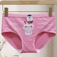 Jiashini CD Wanita Remaja Bahan Tebal Lembut Elastis Motif Lucu Manis Pink Rabbit Text L
