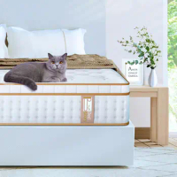 12 Inch Gel Memory Foam Hybrid Mattress in a Box Queen Size Mattress with Individually Wrapped Pocke