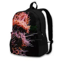 Sea Life Large Capacity Fashion Backpack Laptop Travel Bags Sea Aquarium Seattle Sea Anemone Anemone Salt Water Ocean Ocean