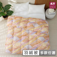 HongYew 鴻宇 防蹣日本印花長纖棉 日規JIS 95D羽絨被(雙人6x7 冬被 棉被)
