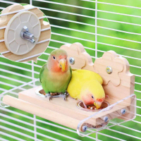 Chim công không chỉ trung điểm đẹp chim công thành công cho ăn nibble khác hồ cổ
