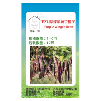 【蔬菜工坊】E23.紫蝶紫翼豆種子