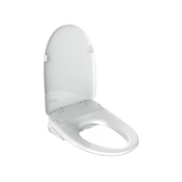 Sanitary ware slim Smart bidet toilet seat Eco-friendly heat toilet seat bidet 110v