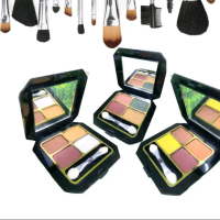 Eye shadow Denise Larusso