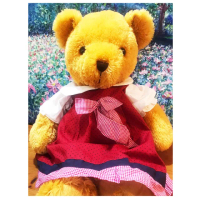 【TEDDY HOUSE泰迪熊】泰迪熊玩具玩偶公仔絨毛娃娃洋裝安娜公主泰迪熊特大