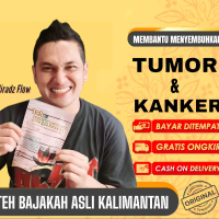 TEH BAJAKAH ASLI KALIMANTAN ORIGINAL AKAR BAJAKAH