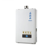 【莊頭北】13L數位分段火排屋內型強制排氣熱水器TH-7139FE(NG1/LPG基本安裝)