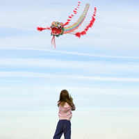 Chinese Traditional Dragon Kite 1m-1.7m Creative Design Decorative Kite Children Outdoor Fun Sports Toy Kites Supplies