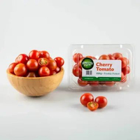 Tomat Cherry Hidroponik Amazing Farm (250 gram / pack)