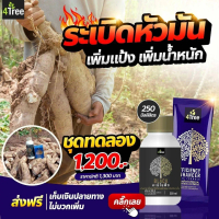 ชุดคู่ระเบิดหัวมันสำปะหลัง โฟร์ทรี 4TREE สูตรใหม่ ชุดทดลอง 4TREE+Amino Black  ใช้ได้  5-10 ไร่ เสริม