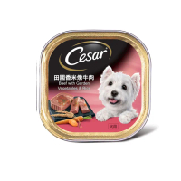 【Cesar 西莎】經典風味餐盒 100g*24入 香米燉牛肉