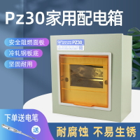 戶外電箱 PZ30配電箱家用明暗裝空氣開關盒子戶外12回路電源控製工廠用電箱【JJ00410】