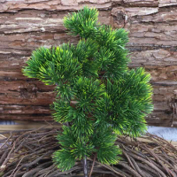 Artificial Cypress Leaf Pine Branch Home Living Room Simulation Green Plant Cabinet Balcony Garden Decoration Fake Pine Needle
