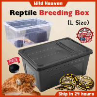Cost-Effective Reptile Plastic Breeding Box Shelter Insects Horn Frog Gecko Lizard Snake House Trans