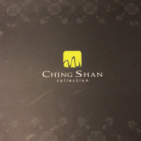 醫療人工造型假髮(中長)