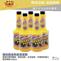 黑珍珠 強效燃油系統清潔劑 250ML 減少抖動 汽油精 清積碳 提升燃油效率 油路清潔 減少廢氣 哈家人