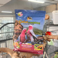 Farmland Galah Cockatoo 2kg