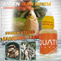 Essen Ikan Nilem Mancing Liar Harian Kilo Gebrus Paling Gacor Oplosan Aquatic Essence Segala Medan