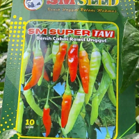 Cabai Rawit Merah SM SUPER TAVI - untuk panen hasil optimal