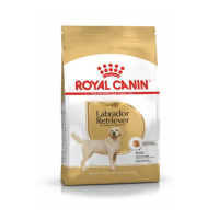 ROYAL CANIN法國皇家-拉布拉多成犬(LBA) 12kg(購買第二件贈送寵物零食x1包)
