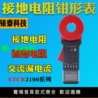 廣州銥泰ETCR2100A+鉗形接地電阻測試儀ETCR2100C+/E圓口電阻測試