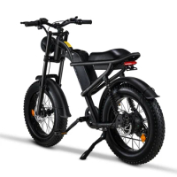 elektro velosiped 20 inch 48v 500W fatbike Z8 lady electric bicycle with full suspension