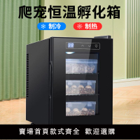 【保固兩年】烏龜蛋養殖孵化箱孵化機蜥蜴爬寵孵化器爬蟲恒溫孵蛋箱守宮孵化柜