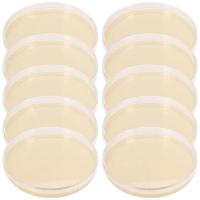 10pcs Agar Plates For Experiment Prepoured Agar Plates Science Petri Dishes with Agar Experiment Supplies