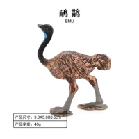 Static Solid Simulation Wildlife Model Children's Toy Emu Australian Ostrich Kids Science Education Cognitive Gift Decoration