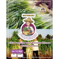 Bibit Pilihan Daun Bawang Chinese Welsh Raksasa |Bibit Daun Bawang Chinese Welsh |Benih Daun Bawang