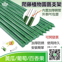 【爬藤植物園藝支架 宅配免運】超硬包塑鋼管 花架植物支撐桿 黃瓜番茄四季豆葡萄固定支撐架 爬藤桿 蔬菜花卉爬藤