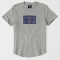 AF a&amp;f Abercrombie &amp; Fitch 男 短袖 T恤 灰色 1994