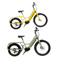 *Dosun CG135電輔多功能自行車-莫蘭迪綠/太陽黃-17吋/19吋