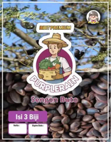 Bibit Premium Sengon Buto |Biji Benih Sengon Buto | Solobium