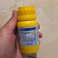 Insektisida REGENT 50ml sc Tanaman