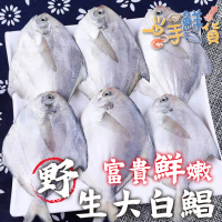 【一手鮮貨】野生鮮嫩白鯧(1尾組/單尾400g-500g)