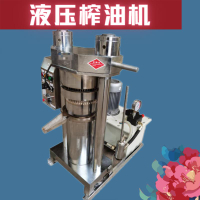 商用液壓榨油機 香油機 立式核桃壓榨機全自動韓式花椒芝麻榨油機