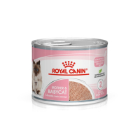 OYAL CANIN法國皇家-離乳貓與母貓主食濕糧(BC34W) 195g x 12入組(購買第二件贈送寵物零食x1包)