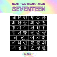 HOLOGRAM STIKER SEVENTEEN NAMETAG 2 PCS NAME TAG STICKER NAMA KPOP UNOFFICIAL SCOUPS WONWOO MINGYU