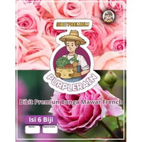 Bibit Premium Bunga Mawar French | Benih Bunga Mawar French